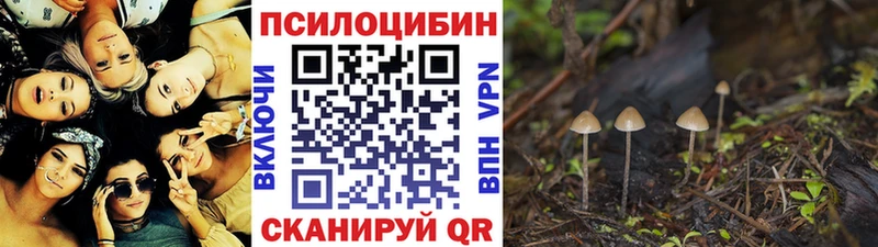 Псилоцибиновые грибы ЛСД магазин Горячеводский